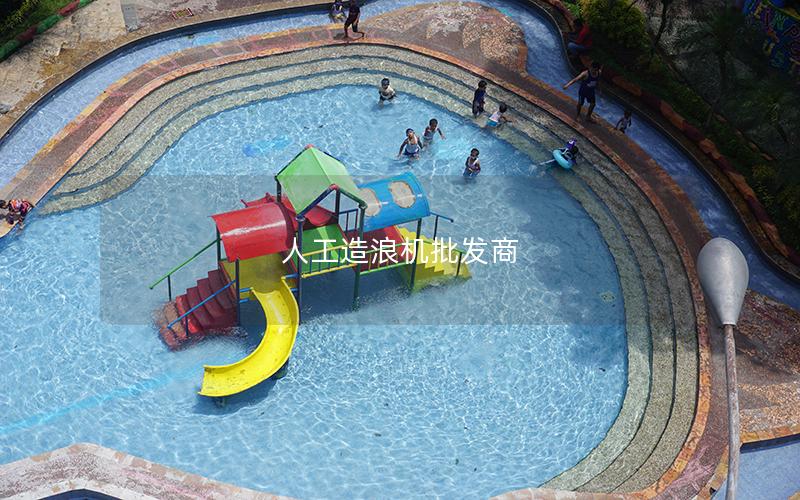 人工造浪機批發商